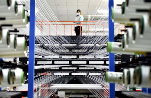 2023年復旦管理學獎三大獎項揭曉，軟件科技領域技術創新成果獲殊榮